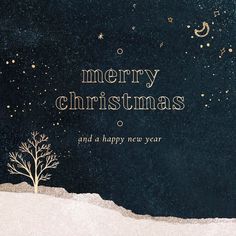 a merry christmas and a happy new year card