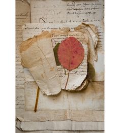 an old piece of paper with a red leaf on it and some other papers in the background