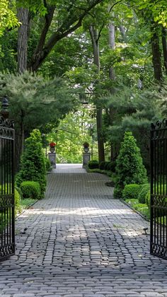 an iron gate leads to a brick driveway surrounded by trees and shrubs with potted plants on either side