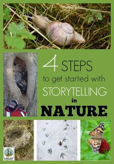 four steps to get started with story telling in nature