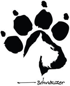 an animal paw print on a white background