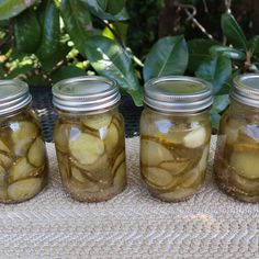 four jars filled with pickles sitting on top of a table next to green leaves