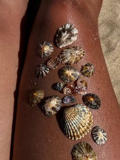 several seashells on the back of a woman's leg