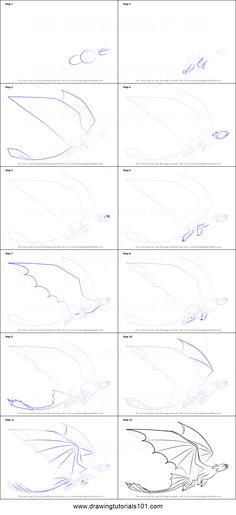 how to draw a dragon from different angles