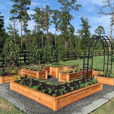 an outdoor garden area with raised wooden planters