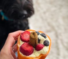 a person holding up a pastry with berries and cinnamon on it next to a black dog