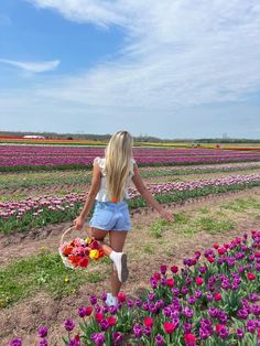 a woman walking through a field with lots of purple and red flowers in her hand