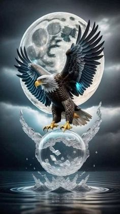 an eagle is flying over the moon and water