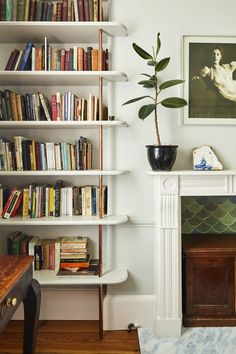 a living room with bookshelves and a potted plant on the fireplace mantel