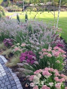 a garden with lots of purple flowers and green grass in the background, along side a brick walkway