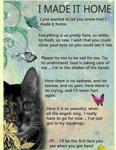 a cat with flowers and butterflies on it's face next to a poem that says i made it home