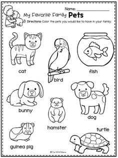 a worksheet with pictures of animals and their names