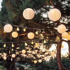 white paper lanterns strung from trees with string lights