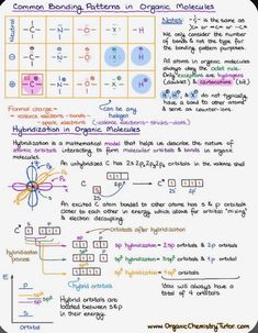 the worksheet for an organic science project