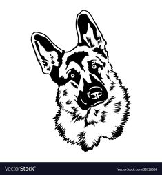 a german shepherd dog head in black and white