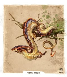 a drawing of a snake with its mouth open and it's tail curled up