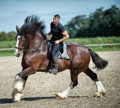 a woman riding on the back of a brown horse