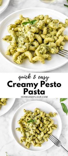 creamy pesto pasta on a white plate