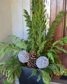 a potted plant with pine cones and evergreen needles on the front door step area