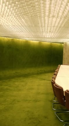 a long table and chairs in a room with green carpeted flooring on the walls