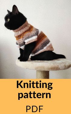 a black cat wearing a sweater sitting on top of a scratching post with the text knitting pattern