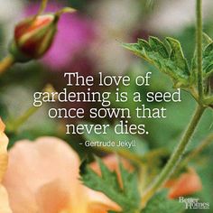 the love of gardening is a seed once sown that never dies