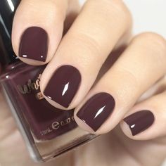 Get ready for the cozy vibes of early fall with these gorgeous nail designs! 🍂🍁 From warm neutrals to bold pops of color, these nails will have you feeling all the autumn feels. #EarlyFallNails #CozyVibes #AutumnFeels #NailInspo #FallMani #NailGoals #SeasonalNails #NailArt #FallColors #PumpkinSpiceEverything Maroon Nail Polish, Halloween Nail Colors, Burgundy Nail Polish, Trendy Nail Polish, Brown Nail Polish, Brown Nail, Toe Nail Color