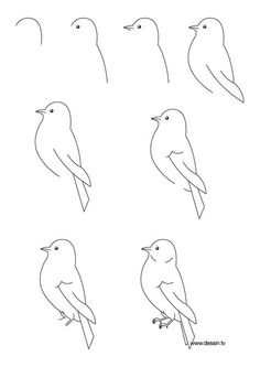 six birds sitting on top of each other in the same line drawing style, with different angles