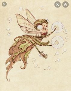 a drawing of a fairy holding a flower