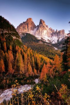 the mountains are covered in snow and trees with yellow leaves on them, as well as some