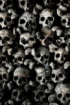 a bunch of skulls that are stacked together