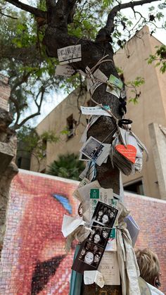 there is a tree that has been decorated with pictures