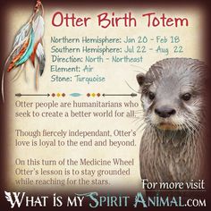 an otter with feathers on it's head and the words, what is my spirit animal?