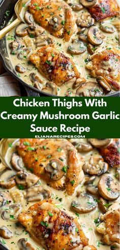 chicken thighs with creamy mushroom garlic sauce recipe