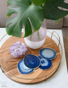 three blue agate shell coasters on a wooden tray with a plant in the background