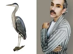 a drawing of a man with a bird on his shoulder and an image of a heron