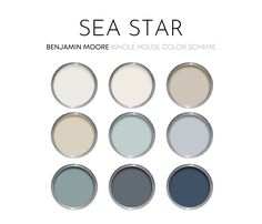 the sea star paint colors are shown in different shades