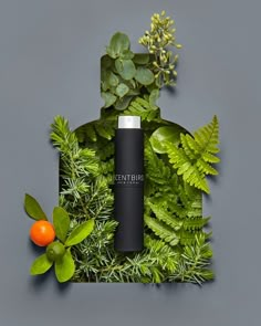 the bottle is surrounded by green plants and oranges on a gray surface with grey background