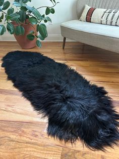 a black sheepskin rug on the floor next to a couch and potted plant