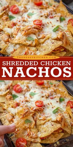 A New Year's Eve food idea with Easy Taco Chicken! Loaded with your favorite toppings, these Shredded Chicken Nachos on a sheet pan are one of the best holiday appetizers. They're also a simple game day recipe! Mexican Chicken Nachos Recipe, Chicken Nachos Recipe Crock Pot, Easy Chicken Nachos Sheet Pan, Sheet Pan Chicken Nachos Recipe, Best Chicken Nachos Recipe, Nachos Chicken Recipe, Shredded Chicken Nachos Recipe Easy, Sheet Pan Nachos Chicken, Baked Shredded Chicken Recipes