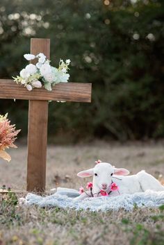 a sheep laying on a blanket in front of a wooden cross with flowers around it