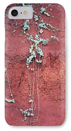 vines growing on the side of a red wall iphone case by panoramic images