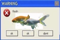 a computer screen with an image of a fish and the words, warning on it