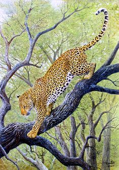 a painting of a leopard on a tree branch