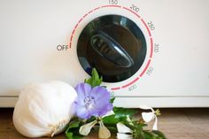 garlic and an onion are on the ground next to a dryer