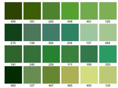 the color chart for different shades of green