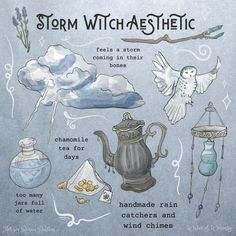 Baby Witch, Herbal Magic, Witch Books