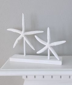 two white starfish figurines sitting on top of a shelf