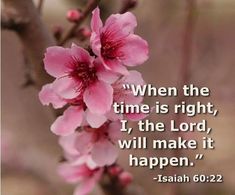 a pink flower with the words, when the time is right, i the lord, will make it happen