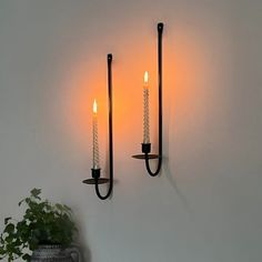 two candles are lit on the wall next to a potted plant